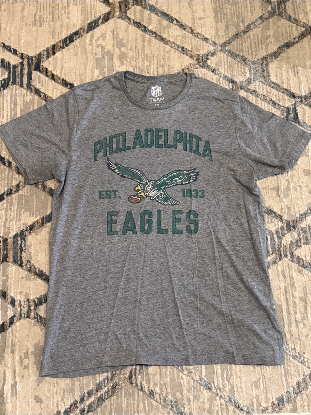 Philadelphia Eagles Gray Short Sleeve Team T-Shirt